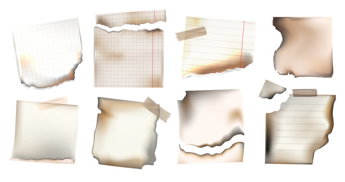 Realistic vintage torn and burnt notebook paper pieces set with scorched edges, including grid, lined, and blank styles, isolated on white.Torn Burned Lined and Grid Paper Elements.Vector illustration