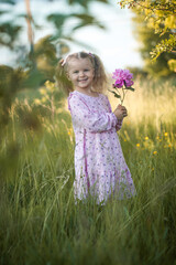 cheerful 3-year-old girl with pigtails in a pink dress with a peony walks in a village meadow