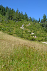 Tourists on the trail. Mountain trail from Toporowa Cyrhla to Wielki Kopieniec mount. Hiking trail in the Western Tatras. Tatra National Park, Zakopane, Poland