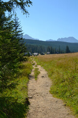 Olczyska Valley, Kopieniec Meadow with characterictic wooden cottages. Tatra Mountains, Zakopane, Poland
