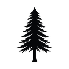 Douglas Fir Tree black line art with white background