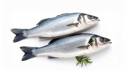 Obraz premium Top view of fresh whole seabass on an isolated white background with sharp detail, showcasing shiny skin and natural texture. Ideal for seafood markets, recipes, and culinary stock photography.