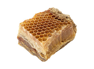 Old fossilized honeycomb isolated on a transparent background png