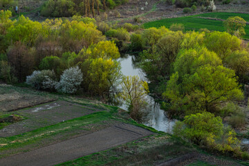 Vibrant greenery surrounding a serene river flows through cultivated fields in early springtime in a picturesque rural landscape