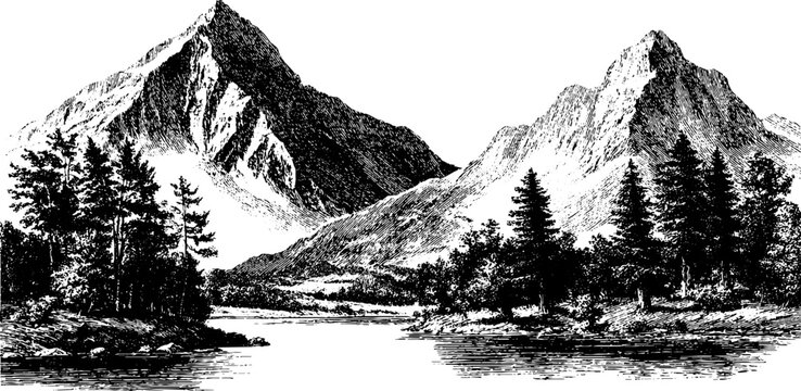 Engraved illustration of mountain and forest scene - nature and wilderness art for design