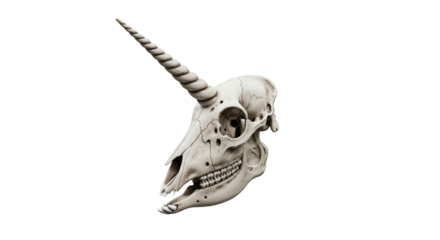 unicorn skull isolated on white
