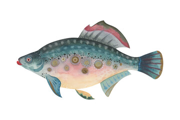 Fantasy fish watercolor illustration. Hand-painted magical creature with decorative textures and surreal patterns. Carp, trout, perch. Perfect for marine prints, souvenirs, or aquatic designs