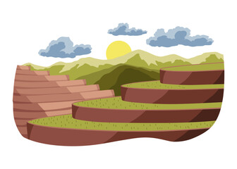 Rice fields scenery with no people. Rice plantations. Landscape with paddy fields. Vector illustration background