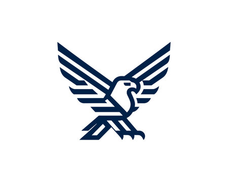 American eagle logo using modern flat geometry