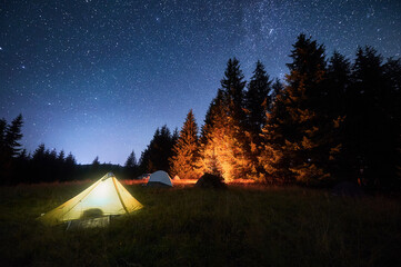 Several tents illuminated by glowing campfire in grassy clearing under clear, starry sky. Surrounded by tall pine trees in the mountains. Tranquil beauty of night spent camping in nature.