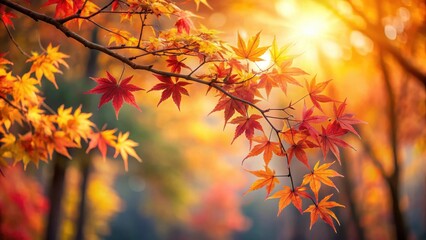 Autumnal Branch with Vivid Red and Gold Maple Leaves Basking in Warm Sunlight