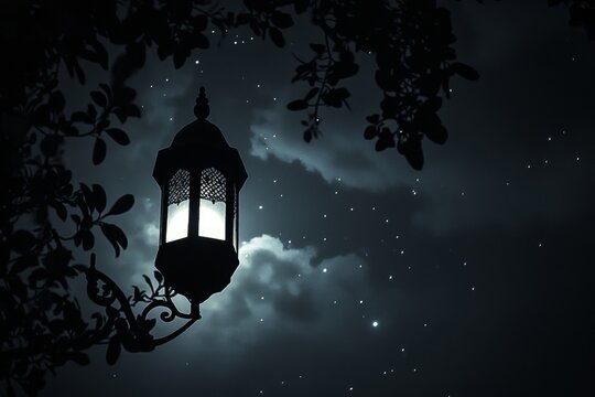 Starlit Night With Lantern Silhouette