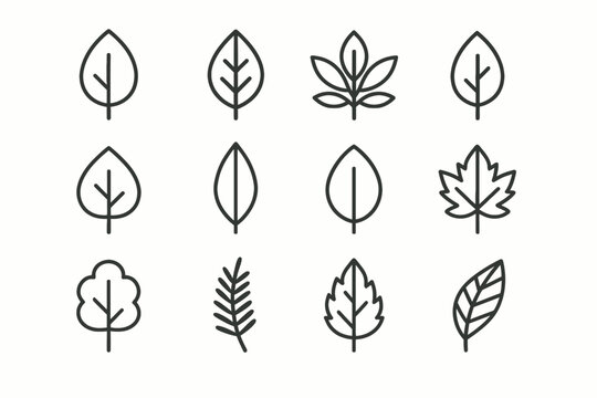 Leaf Vector Outline Images – Browse 1,416,832 Stock Photos, Vectors ...