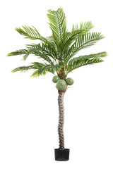 isolated artificial coconut tree on white