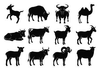 Standing and Resting Silhouette Animals for Qurbani and Farm Themes

