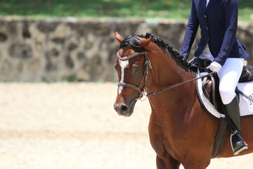 Female Rider Performing Dressage Test with Horse in Competition Arena