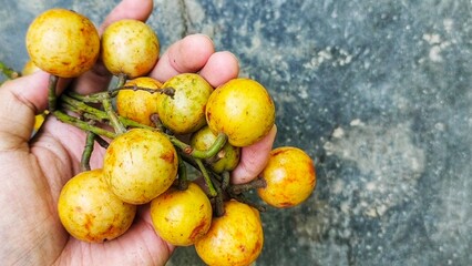 Menteng, kapundung or Baccaurea racemosa fruit contains minerals such as potassium which plays a role in regulating blood pressure. Consuming this fruit regularly can help maintain heart health.