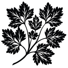 Black and white silhouette of Parsley sprig vegetable silhouette isolated on transparent background