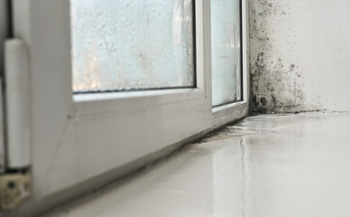 Dark mold spores spreading on a damp window frame. Moisture and neglect create organic patterns of...