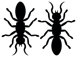 Silhouette of Various Ants, silhouette ants of varying sizes arranged in a loose cluster against a plain white background. ant, ants, insect, insects, silhouette, black and white, black silhouette, pe