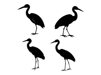 Heron Silhouettes Against a White Background,  silhouettes of herons, presented in a simple, clean design against a pure white backdrop. heron, bird, wildlife, nature, animal, avian, profile, graphic.