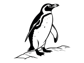 Fototapeta premium Elegant black and white illustration of a penguin, Penguin Silhouette on a Glacial Landscape, penguin, silhouette, black and white, bird, wildlife, animal, nature, ice, glacier, outcrop, rocky, art,
