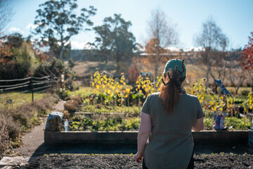 Compost pile, organic thermophilic compost turning in Tasmania Australia.