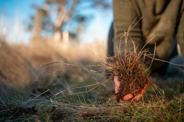 female farmer collecting soil samples in a test tube in a field. Agronomist checking soil carbon and plant health on a farm with a microscope soil test