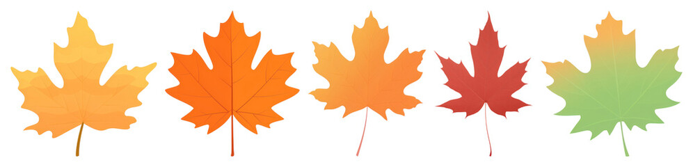PNG Colorful autumn maple leaves, element set on transparent background