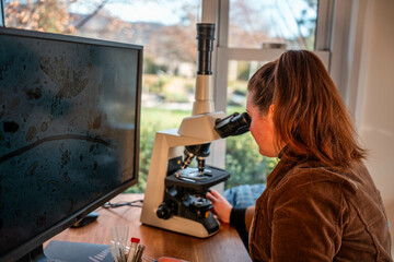 compost microorganisms under a microscope including amoeba, flagellates, nematodes, fungi, bacteria