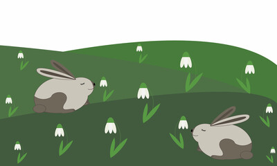 Rabbits