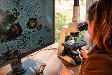 Home lab testing soil samples for soil life biology microorganisms in compost with a microscope,...