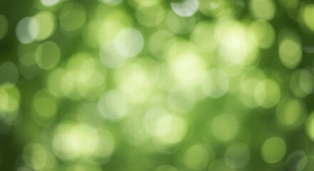 Fototapeta premium Abstract green bokeh background, creating a dreamy, blurred natural effect
