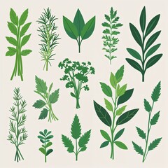 Fototapeta premium Herbs green leaf seamless pattern with natural decoration in vintage spring style