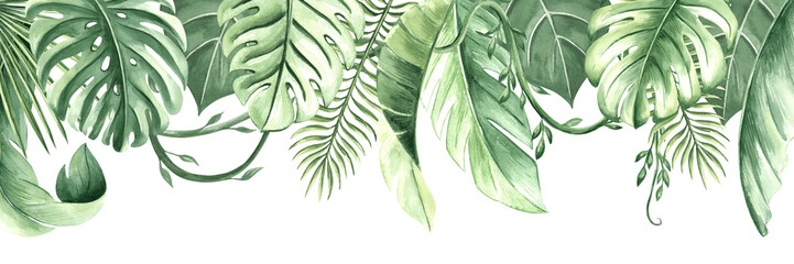 Watercolor baner from tropical leaves isolated illustration. Postcard template with copy space for summer rainforest design. Hand drawn frame of lush foliage jungle. Greenery exotic plants background. © susie_p_art