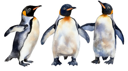 Obraz premium penguin watercolor on white background
