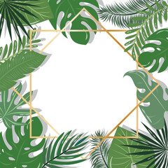 Beautiful background with tropical leaves