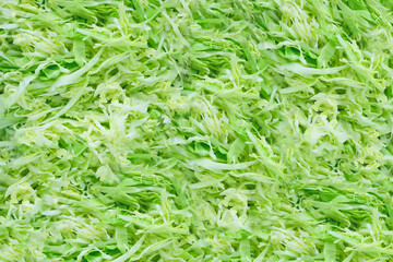 Sliced white cabbage background, chopped white cabbage backdrop