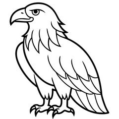 eagle on a white background