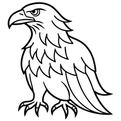 eagle vector illustration on white background