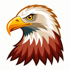 Eagle vector on white background