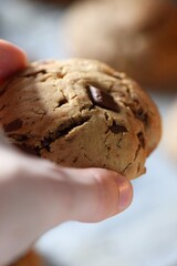 Freshly Baked Chocolate Chip Cookies in Oven