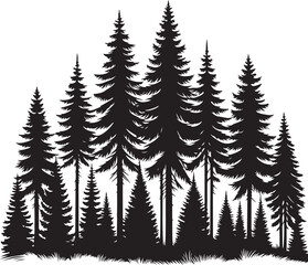 Obraz premium Majestic Trio of Pine Trees in Silhouette