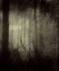 Dark forest wallpaper, grunge nature background, copy space