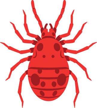 Detailed illustration of a red mite, also known as a chigger or red bug, showcasing its eight legs and body segmentation