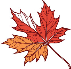 maple leaf vector