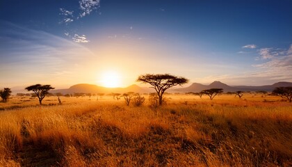 Naklejka premium serene african savanna sunrise landscape