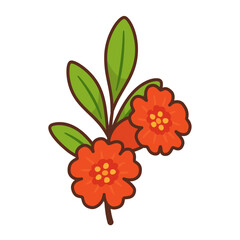 Pomegranate branch with bright red flower. Hand drawn flat style with bold outlines. For food packaging, healthy food, organic branding, nutrition blogs, labels, seasonal designs, greeting cards