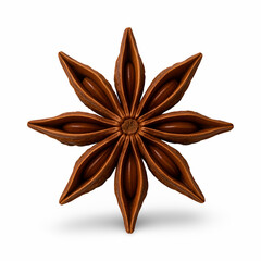 Star Anise Close-Up Isolated on White Background
