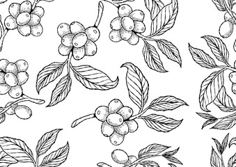 Hand-drawn seamless pattern of coffee fruit branches with intricate black and white line art details, showcasing unripe berries and leaves.